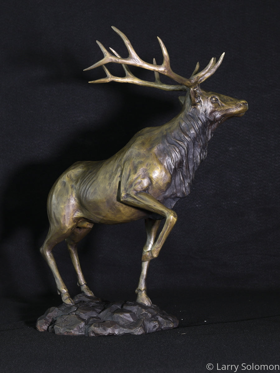 Bronze Elk Sculpture